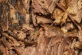 Slow cooked shredded pulled beef close up background Royalty Free Stock Photo