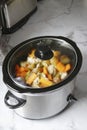 Slow Cooker - Chicken Stew Royalty Free Stock Photo