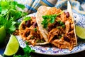 Slow Cooker Shredded Chicken Tex-Mex Royalty Free Stock Photo