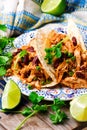 Slow Cooker Shredded Chicken Tex-Mex Royalty Free Stock Photo