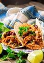 Slow Cooker Shredded Chicken Tex-Mex Royalty Free Stock Photo