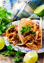 Slow Cooker Shredded Chicken Tex-Mex Royalty Free Stock Photo