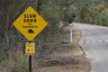 Slow down for bandicoots sign in yellow color