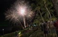 Slow exposure shots of the night scene where tourists gathered to watch the Christmas\'s eve firework