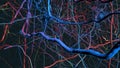 Slow flight through a microscopic neural network with neuronal connections and neurons