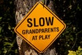 Slow Grandparents @ Play