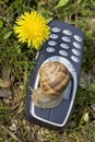 Slow mobile in the nature Royalty Free Stock Photo