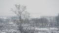 Slow motion bokeh background of snowfall with blurred trees on background Royalty Free Stock Photo