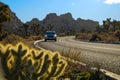 SLOW MOTION: Car drives along the road leading through Joshua tree national park Royalty Free Stock Photo