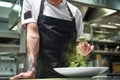 Slow motion. Cropped image of chef`s hands with tattoos adding spices in salad while standing in a restaurant kitchen. Royalty Free Stock Photo