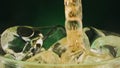 Slow motion 1000fps on poured brown liquid on ice cubes in rotate glass. Super slow motion poured alcohol absinth on