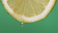 Slow motion macro shot of half lemon slice with soft focused viscous honey drops falling from the lemon on green screen background