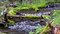 A slow-motion of a water stream of a river in nature landscape