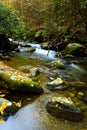 Slow moving creek Royalty Free Stock Photo