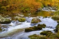 Slow Moving Creek in Fall Royalty Free Stock Photo