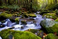 Slow moving stream in fall Royalty Free Stock Photo