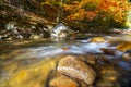 A slow moving stream in a forest decked out in fall colors Royalty Free Stock Photo