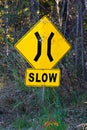 A Slow Narrow Bridge sign with trees in the background Royalty Free Stock Photo