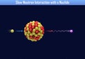 Slow Neutron Interaction with a Nuclide