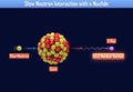 Slow Neutron Interaction with a Nuclide