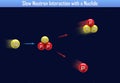 Slow Neutron Interaction with a Nuclide