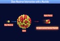 Slow Neutron Interaction with a Nuclide
