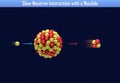 Slow Neutron Interaction with a Nuclide