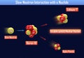 Slow Neutron Interaction with a Nuclide