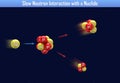 Slow Neutron Interaction with a Nuclide