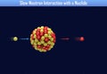 Slow Neutron Interaction with a Nuclide