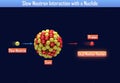 Slow Neutron Interaction with a Nuclide