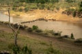 Slow pan of blue wildebeest river traverse