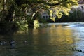 Slow river flow through a town