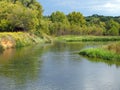 Slow River in Meadow with Trees