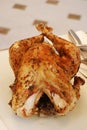Slow roasted turkey or chicken basted with oil and herbs and cooked in the oven Royalty Free Stock Photo