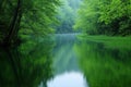 slow shady river with wooded banks Royalty Free Stock Photo