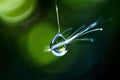 slow shutter speed vaccine drop use a slow shutter to create a t Royalty Free Stock Photo