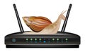 Slow speed router with snail Royalty Free Stock Photo