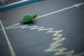 Slow but stable investment or low fluctuate stock market concept, miniature figure turtle or tortoise walking on chalkboard with