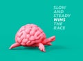 Slow and steady wins the race. Turtle brain 3D illustration Royalty Free Stock Photo