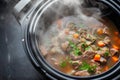 slowcooker with beef stew simmering, top view steam visible