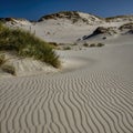 The Slowinski national park Royalty Free Stock Photo