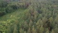 Slowly flying over a virulent part of the forest, felling tree trunks lie on the ground