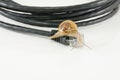 Slowly internet like snail concept Royalty Free Stock Photo
