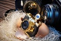 SLR cameras and compact as parents and baby in nest Royalty Free Stock Photo