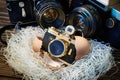 SLR cameras and compact as parents and baby in nest Royalty Free Stock Photo