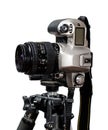 Slr/dslr camera mounted on tripod Royalty Free Stock Photo