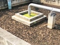 Sludge treatment in wastewater management system, flowing brown smelly liquid and drying in sludge bed, made it for fertilization