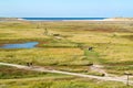 Slufter in dunes of Texel National Park on Texel island, Netherlands Royalty Free Stock Photo