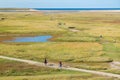 Slufter in dunes of Texel National Park on Texel island, Netherlands Royalty Free Stock Photo